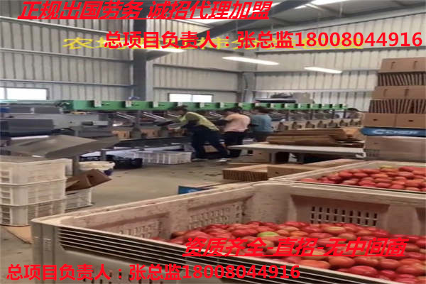 重庆巫山海聘出国劳务公司-项目即将截止-厨师司机普工