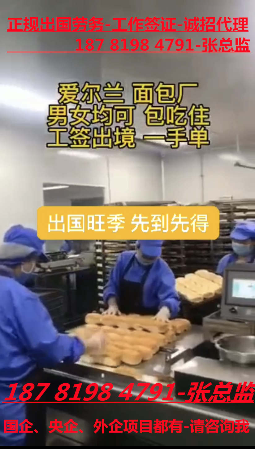 正规出国劳务公司向渝北招募木工瓦工班长