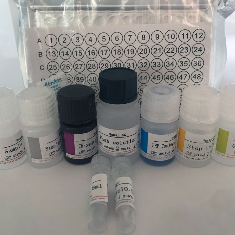 端粒酶(TE)检测试剂盒