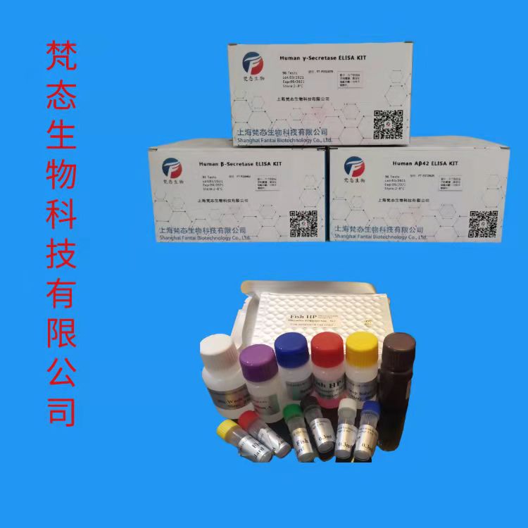 细胞周期素D1(Cyclin-D1)检测试剂盒