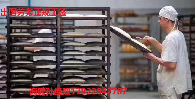 上海卢湾出国劳务零费用正规工签可靠待遇高