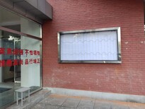 图片0