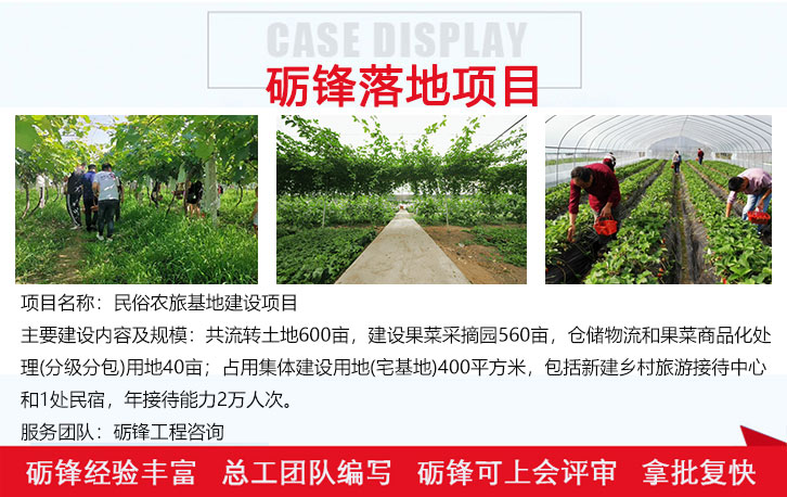 潮州代写蔬菜种植基地建设项目可行性研究报告费用-5秒前已更新