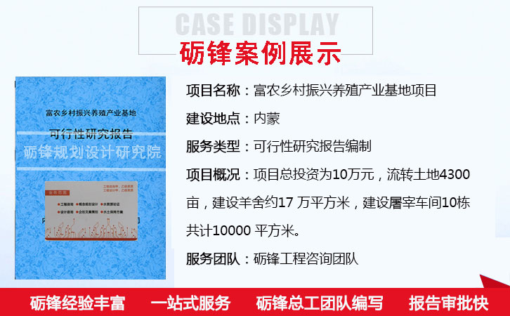 许昌化工可研报告编制企业/标准案例