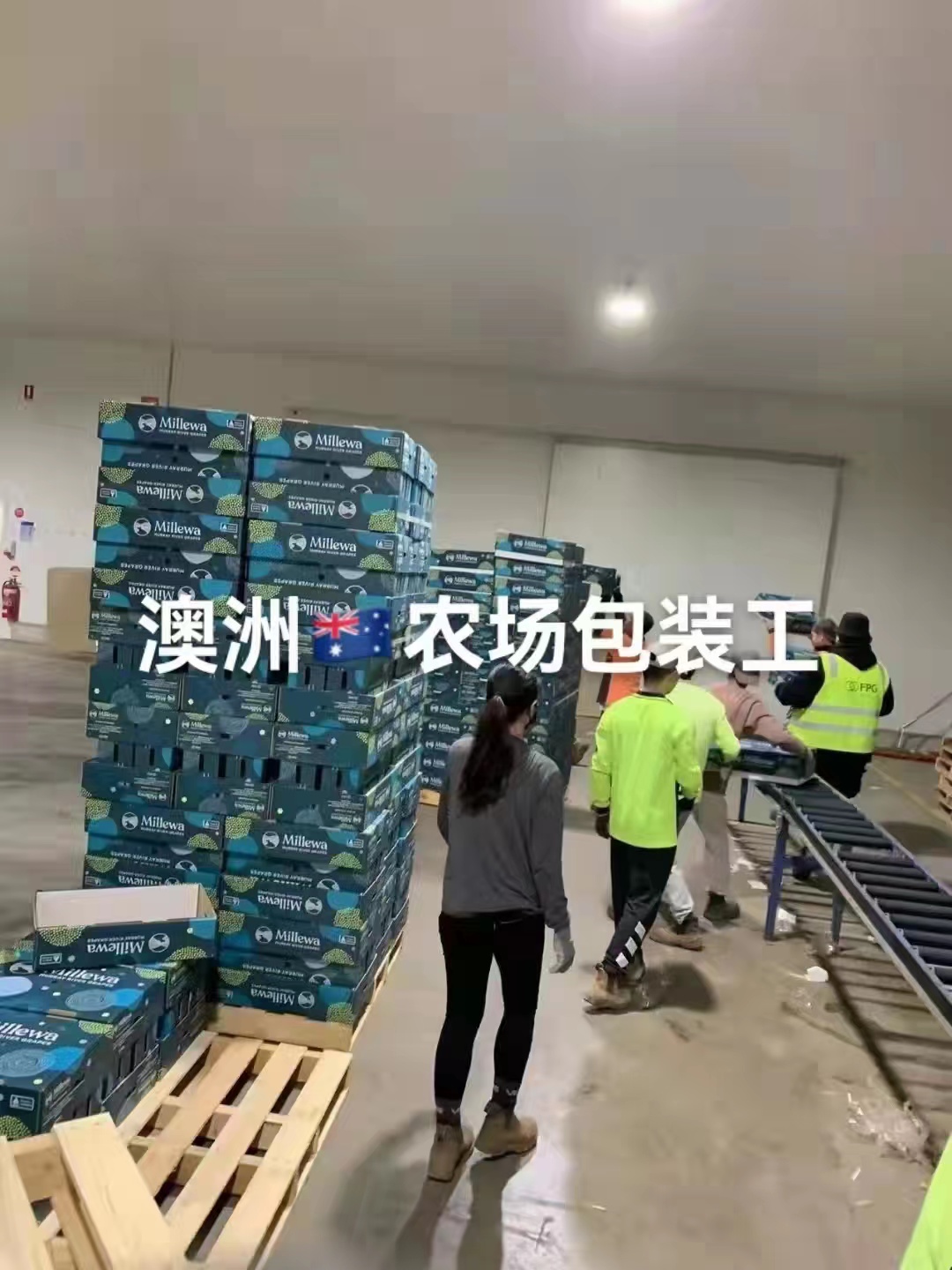 江苏南京出国劳务一手项目招油漆工水电工月薪3-3.5万